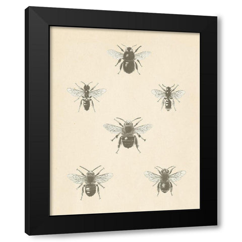 Bee Chart I Black Modern Wood Framed Art Print by Wild Apple Portfolio