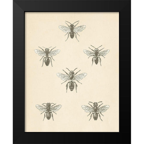 Bee Chart II Black Modern Wood Framed Art Print by Wild Apple Portfolio