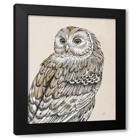 Beautiful Owls III Vintage Black Modern Wood Framed Art Print by Brissonnet, Daphne