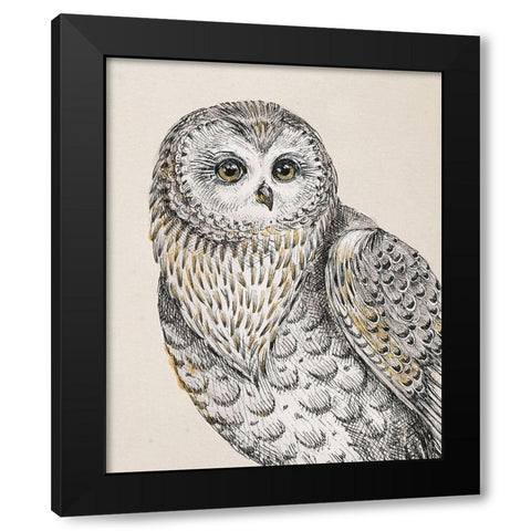 Beautiful Owls IV Vintage Black Modern Wood Framed Art Print with Double Matting by Brissonnet, Daphne