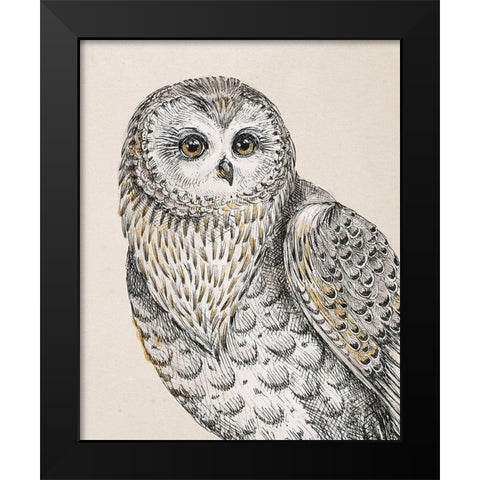 Beautiful Owls IV Vintage Black Modern Wood Framed Art Print by Brissonnet, Daphne