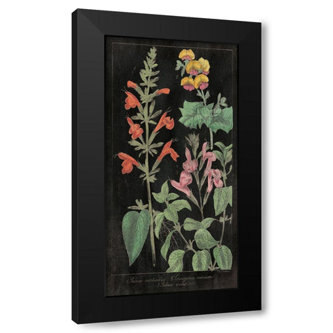 Salvia Florals I on Black Black Modern Wood Framed Art Print by Wild Apple Portfolio
