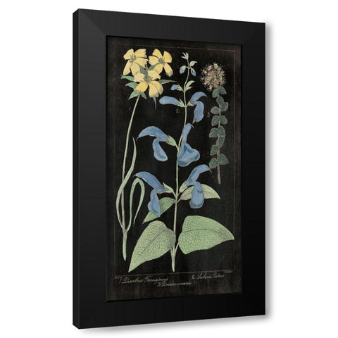Salvia Florals II on Black Black Modern Wood Framed Art Print by Wild Apple Portfolio