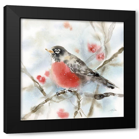 Winter Robin Black Modern Wood Framed Art Print by Pete, Katrina