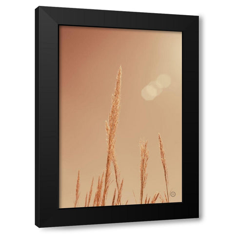 Noon Grasses I Black Modern Wood Framed Art Print by Larson, Nathan