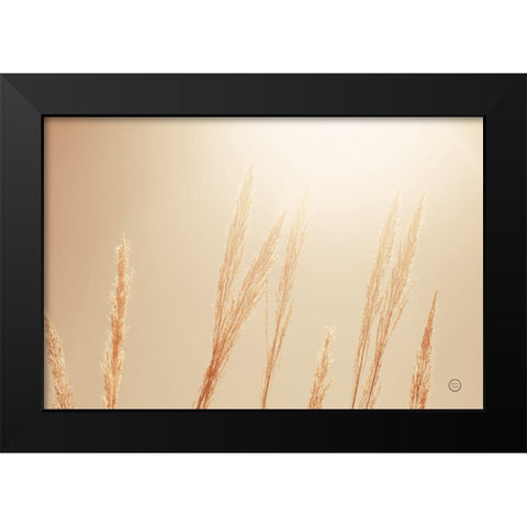 Noon Grasses II Black Modern Wood Framed Art Print by Larson, Nathan
