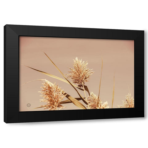 Noon Grasses III Black Modern Wood Framed Art Print with Double Matting by Larson, Nathan