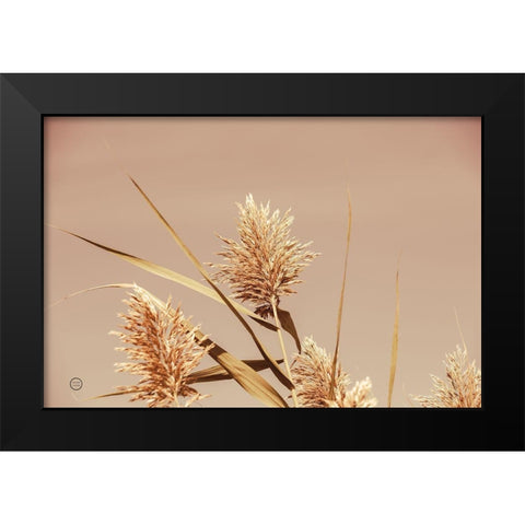 Noon Grasses III Black Modern Wood Framed Art Print by Larson, Nathan