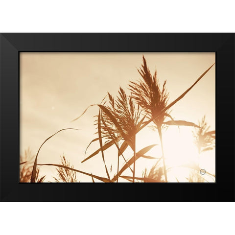 Noon Grasses IV Black Modern Wood Framed Art Print by Larson, Nathan