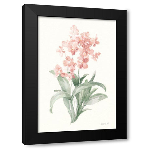 Spring Orchid I Black Modern Wood Framed Art Print with Double Matting by Nai, Danhui