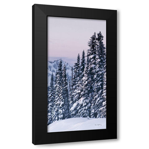 Tatoosh Range Panel III Black Modern Wood Framed Art Print by Majchrowicz, Alan