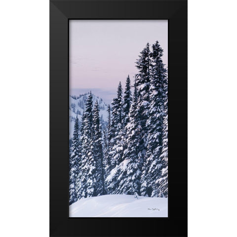 Tatoosh Range Panel III Black Modern Wood Framed Art Print by Majchrowicz, Alan