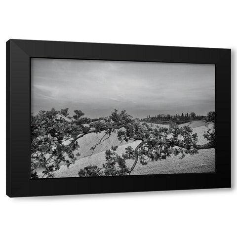 Villa View Black Modern Wood Framed Art Print with Double Matting by Aledanda