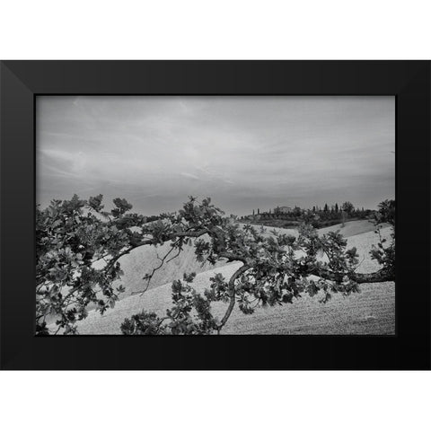 Villa View Black Modern Wood Framed Art Print by Aledanda