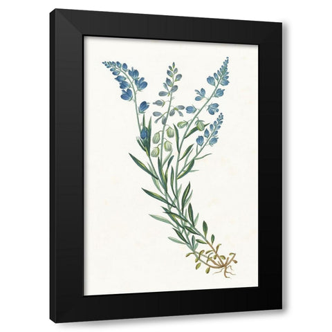 Polygala on White Black Modern Wood Framed Art Print by Wild Apple Portfolio