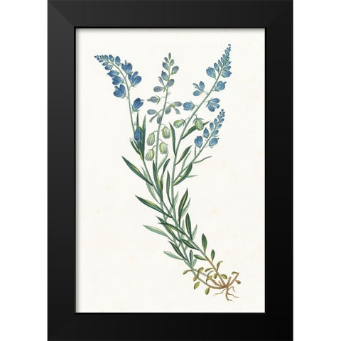 Polygala on White Black Modern Wood Framed Art Print by Wild Apple Portfolio
