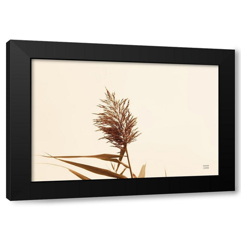 Summer Reeds I Black Modern Wood Framed Art Print by Larson, Nathan