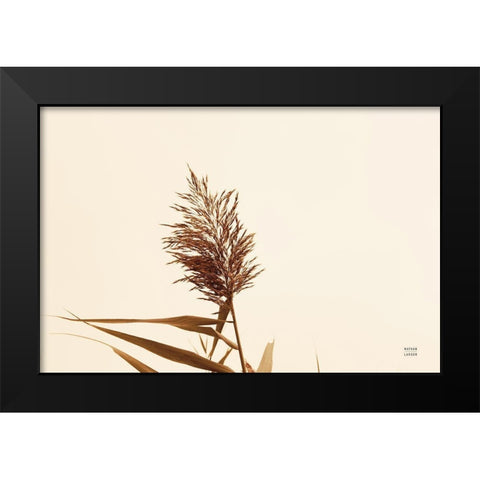 Summer Reeds I Black Modern Wood Framed Art Print by Larson, Nathan