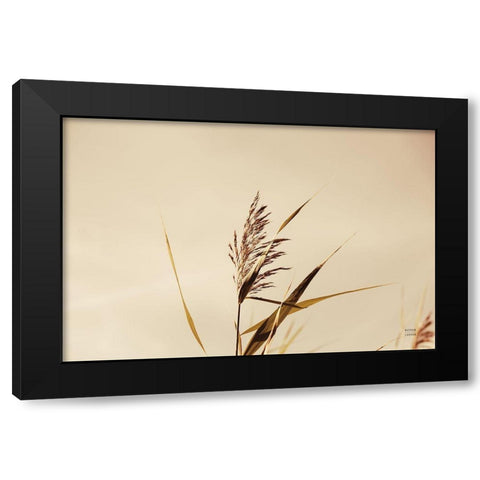 Summer Reeds II Black Modern Wood Framed Art Print by Larson, Nathan