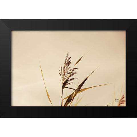 Summer Reeds II Black Modern Wood Framed Art Print by Larson, Nathan