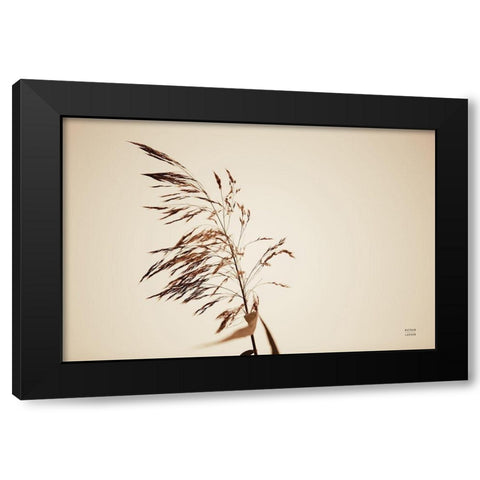 Summer Reeds III Black Modern Wood Framed Art Print by Larson, Nathan