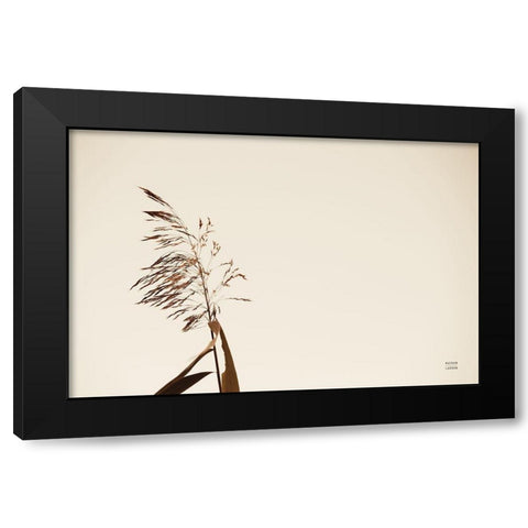 Summer Reeds IV Black Modern Wood Framed Art Print by Larson, Nathan
