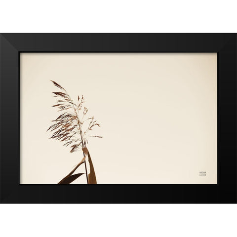 Summer Reeds IV Black Modern Wood Framed Art Print by Larson, Nathan