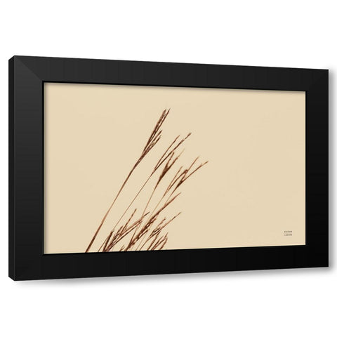 Lakeside Grasses IV Black Modern Wood Framed Art Print by Larson, Nathan