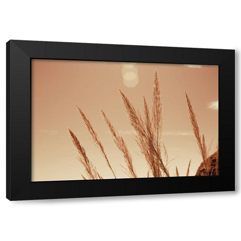 Lakeside Grasses VI Black Modern Wood Framed Art Print by Larson, Nathan
