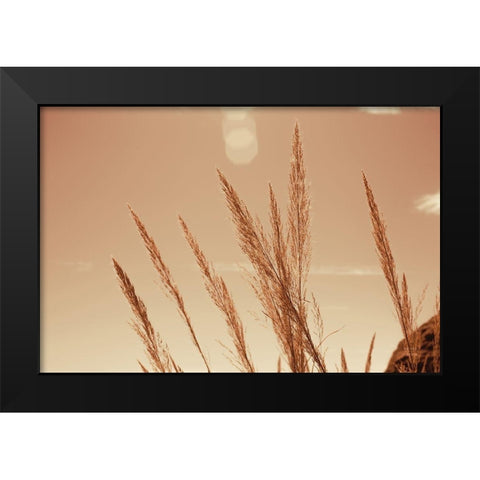 Lakeside Grasses VI Black Modern Wood Framed Art Print by Larson, Nathan