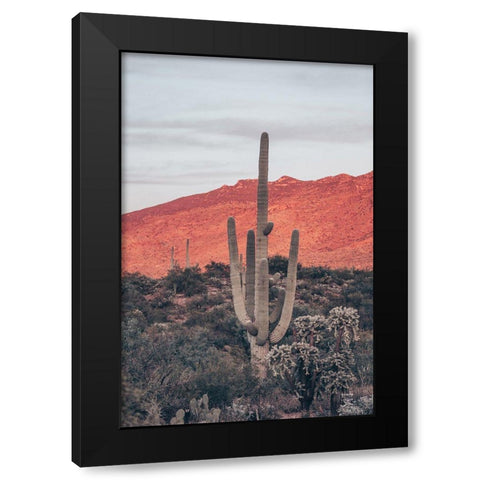 Sunsets and Saguaros I Black Modern Wood Framed Art Print by Larson, Nathan