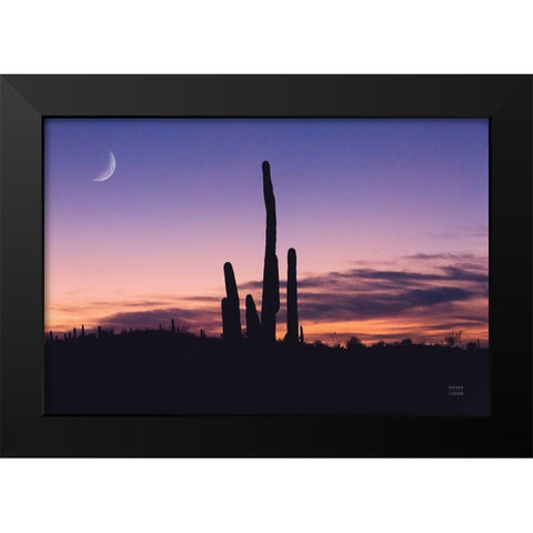Desert Moons Black Modern Wood Framed Art Print by Larson, Nathan