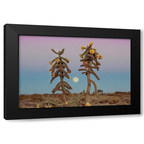 Desert Moonrise Black Modern Wood Framed Art Print by Larson, Nathan