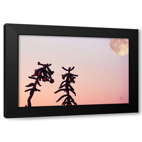 Moon Desert Black Modern Wood Framed Art Print by Larson, Nathan