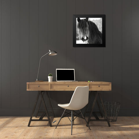 Winter Horse II Black Modern Wood Framed Art Print by Larson, Nathan