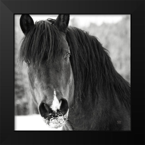 Winter Horse II Black Modern Wood Framed Art Print by Larson, Nathan