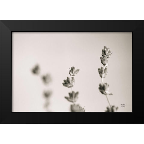Lavender Study Black Modern Wood Framed Art Print by Larson, Nathan