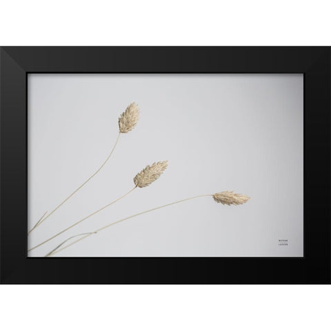 Grass Study Color Black Modern Wood Framed Art Print by Larson, Nathan