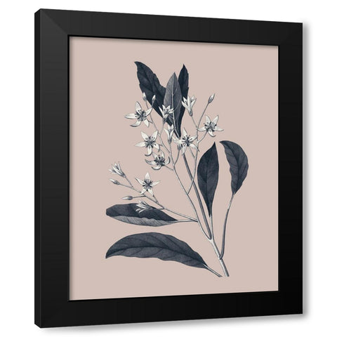 Botanical V on Pink Black Modern Wood Framed Art Print by Wild Apple Portfolio