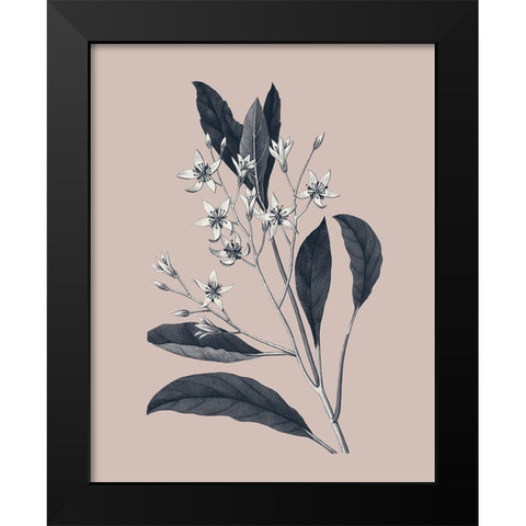 Botanical V on Pink Black Modern Wood Framed Art Print by Wild Apple Portfolio