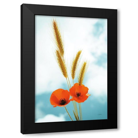 Wild Poppies Black Modern Wood Framed Art Print with Double Matting by Aledanda