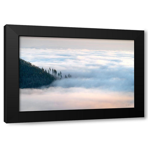 Fog and Forest III Black Modern Wood Framed Art Print with Double Matting by Majchrowicz, Alan
