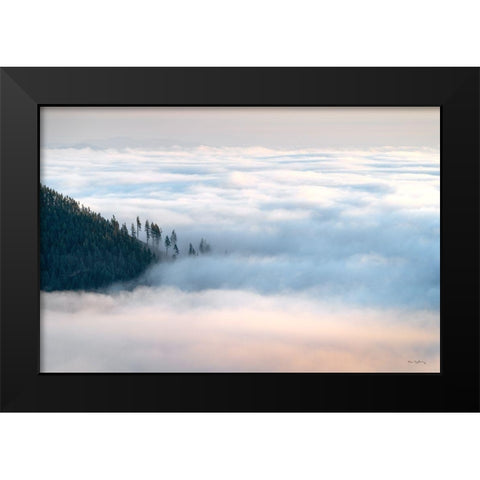 Fog and Forest III Black Modern Wood Framed Art Print by Majchrowicz, Alan