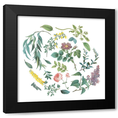 Victorian Garden Bright I Black Modern Wood Framed Art Print with Double Matting by Wild Apple Portfolio