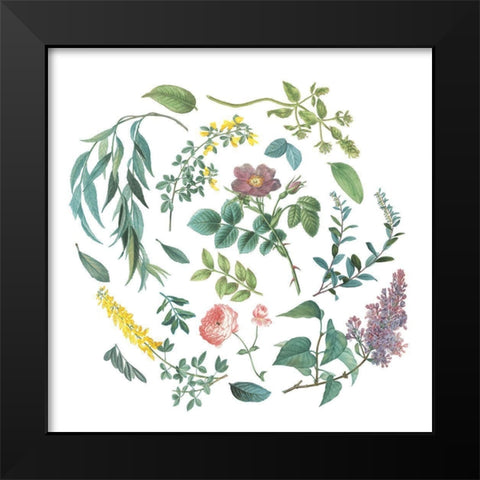 Victorian Garden Bright I Black Modern Wood Framed Art Print by Wild Apple Portfolio
