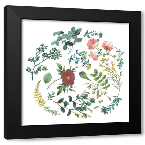 Victorian Garden Bright II Black Modern Wood Framed Art Print with Double Matting by Wild Apple Portfolio