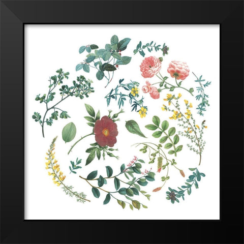 Victorian Garden Bright II Black Modern Wood Framed Art Print by Wild Apple Portfolio