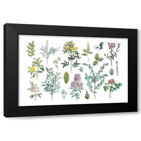 Victorian Garden Bright IV Black Modern Wood Framed Art Print with Double Matting by Wild Apple Portfolio