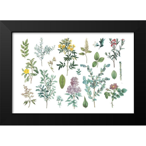 Victorian Garden Bright IV Black Modern Wood Framed Art Print by Wild Apple Portfolio