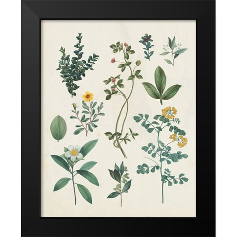 Victorian Garden V Light Black Modern Wood Framed Art Print by Portfolio, Wild Apple